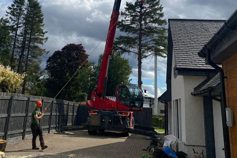 Domestic Tree Surgery Scotland