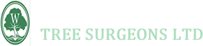 Scottish Wakeley Tree Surgeons Elgin and Arbroath