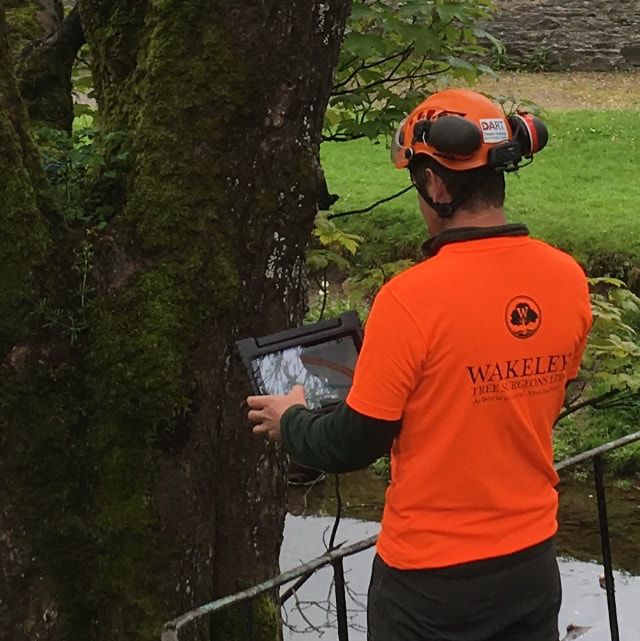 Wakeley Tree Surgeons electronic tree audit
