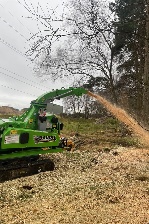 wakeley stump grinding moray wakeley stump grinding moray