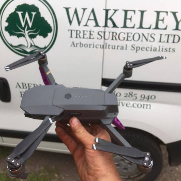 Wakeley tree inspection by drone