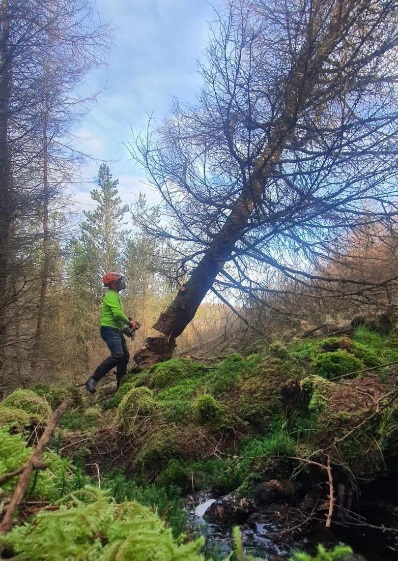 North and South Scotland Wakeley Tree Surgeons North and South Scotland Wakeley Tree Surgeons